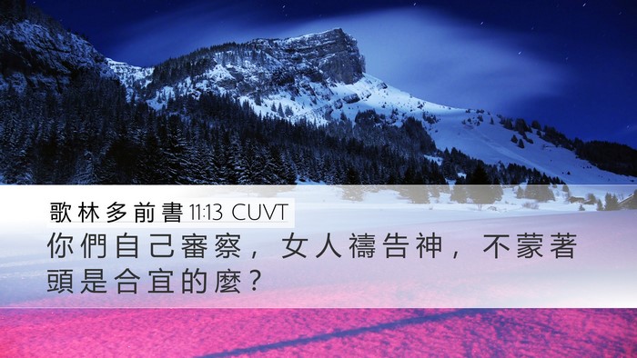 歌 林 多 前 書 11:13 CUVT Desktop Wallpaper - 你 們 自 己 審 察 ， 女 人 禱 告 神 - Desktop Bible Verse Wallpaper