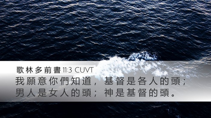 歌 林 多 前 書 11:3 CUVT Desktop Wallpaper - 我 願 意 你 們 知 道 ， 基 督 是 各 - Desktop Bible Verse Wallpaper