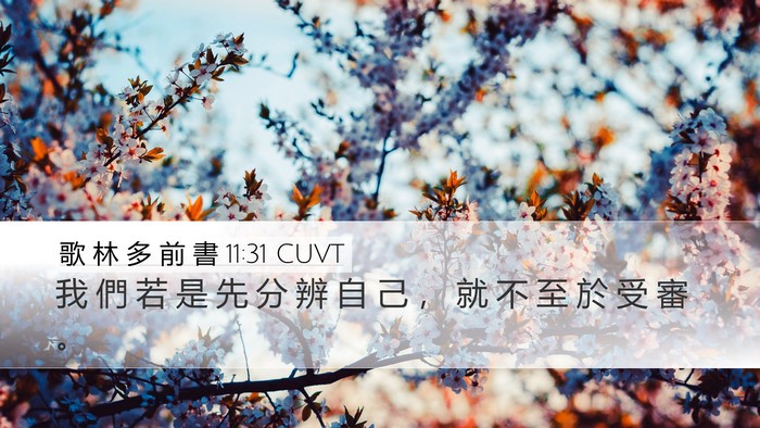 歌 林 多 前 書 11:31 CUVT Bible Verse Image