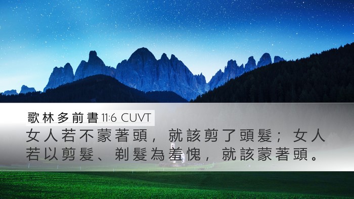 歌 林 多 前 書 11:6 CUVT Desktop Wallpaper - 女 人 若 不 蒙 著 頭 ， 就 該 剪 了 - Desktop Bible Verse Wallpaper