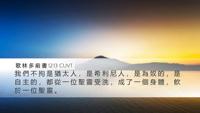 歌 林 多 前 書 12:13 CUVT Bible Verse Image