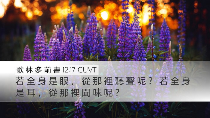 歌 林 多 前 書 12:17 CUVT Desktop Wallpaper - 若 全 身 是 眼 ， 從 那 裡 聽 聲 呢 - Desktop Bible Verse Wallpaper