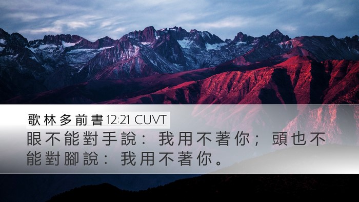 歌 林 多 前 書 12:21 CUVT Bible Verse Image