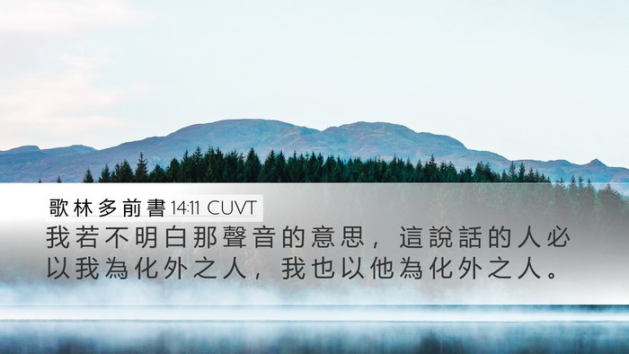歌 林 多 前 書 14:11 CUVT Desktop Wallpaper - 我 若 不 明 白 那 聲 音 的 意 思 ， - Desktop Bible Verse Wallpaper