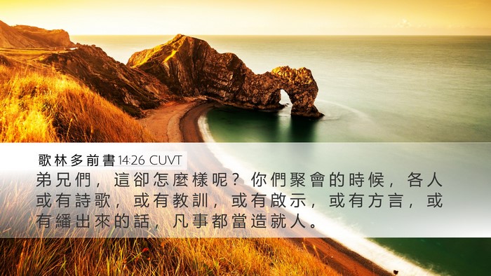 歌 林 多 前 書 14:26 CUVT Bible Verse Image