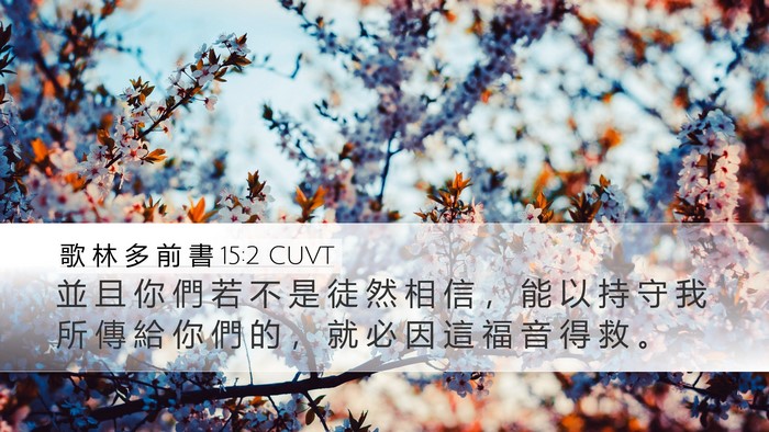 歌 林 多 前 書 15:2 CUVT Desktop Wallpaper - 並 且 你 們 若 不 是 徒 然 相 信 ， - Desktop Bible Verse Wallpaper