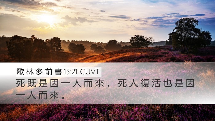 歌 林 多 前 書 15:21 CUVT Bible Verse Image