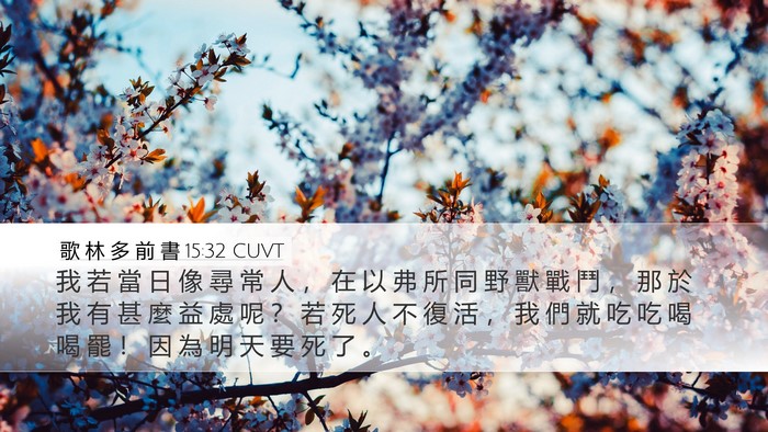 歌 林 多 前 書 15:32 CUVT Bible Verse Image