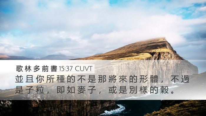 歌 林 多 前 書 15:37 CUVT Bible Verse Image