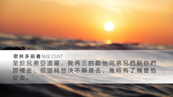 歌 林 多 前 書 16:12 CUVT Bible Verse Image