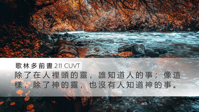 歌 林 多 前 書 2:11 CUVT Desktop Wallpaper - 除 了 在 人 裡 頭 的 靈 ， 誰 知 道 - Desktop Bible Verse Wallpaper