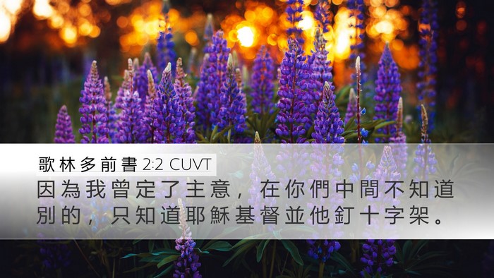 歌 林 多 前 書 2:2 CUVT Bible Verse Image