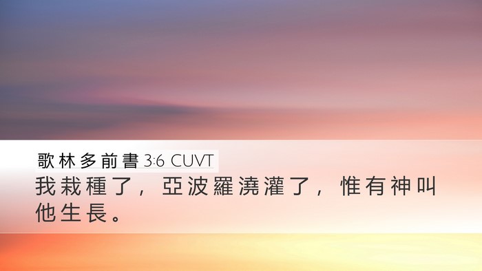 歌 林 多 前 書 3:6 CUVT Bible Verse Image