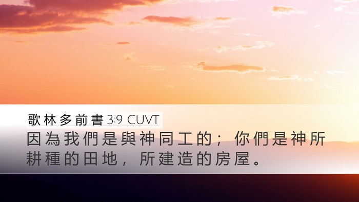 歌 林 多 前 書 3:9 CUVT Bible Verse Image