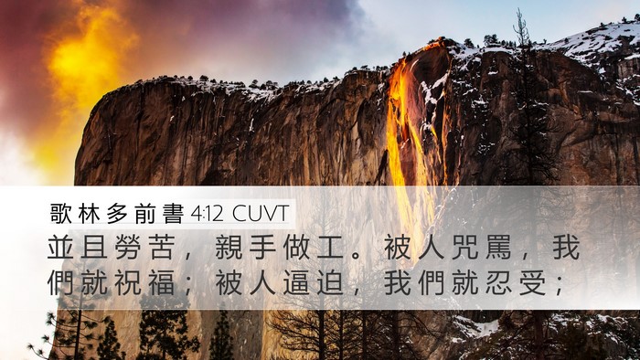 歌 林 多 前 書 4:12 CUVT Bible Verse Image