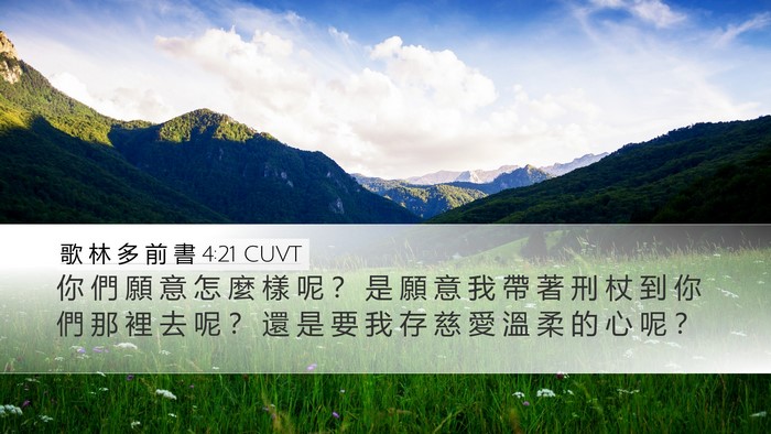 歌 林 多 前 書 4:21 CUVT Bible Verse Image