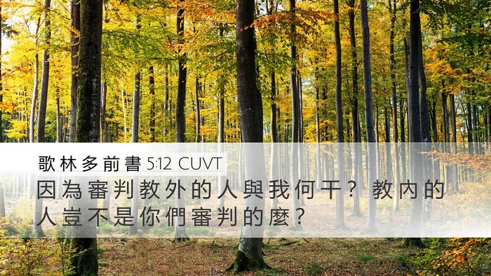 歌 林 多 前 書 5:12 CUVT Bible Verse Image
