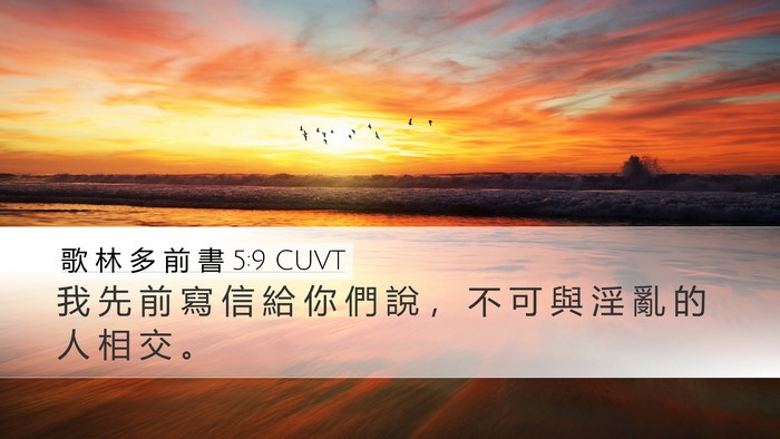 歌 林 多 前 書 5:9 CUVT Bible Verse Image