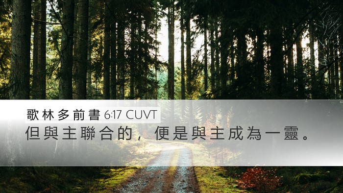 歌 林 多 前 書 6:17 CUVT Desktop Wallpaper - 但 與 主 聯 合 的 ， 便 是 與 主 成 - Desktop Bible Verse Wallpaper