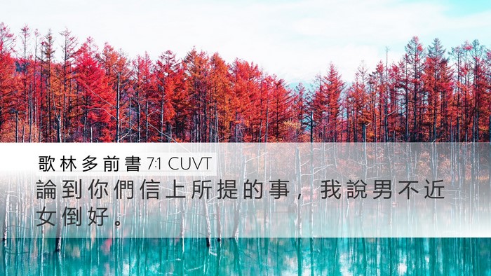 歌 林 多 前 書 7:1 CUVT Desktop Wallpaper - 論 到 你 們 信 上 所 提 的 事 ， 我 - Desktop Bible Verse Wallpaper
