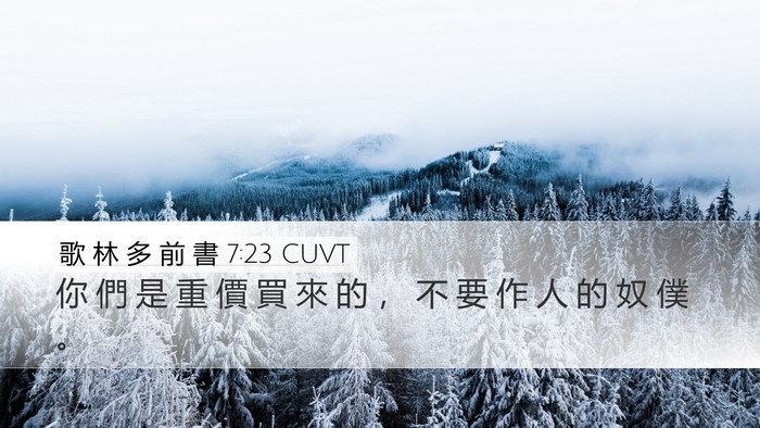 歌 林 多 前 書 7:23 CUVT Bible Verse Image