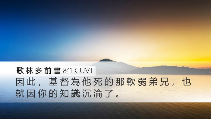 歌 林 多 前 書 8:11 CUVT Bible Verse Image