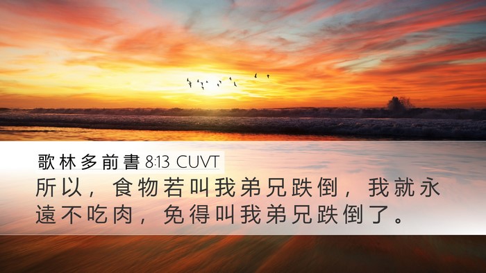 歌 林 多 前 書 8:13 CUVT Desktop Wallpaper - 所 以 ， 食 物 若 叫 我 弟 兄 跌 倒 - Desktop Bible Verse Wallpaper