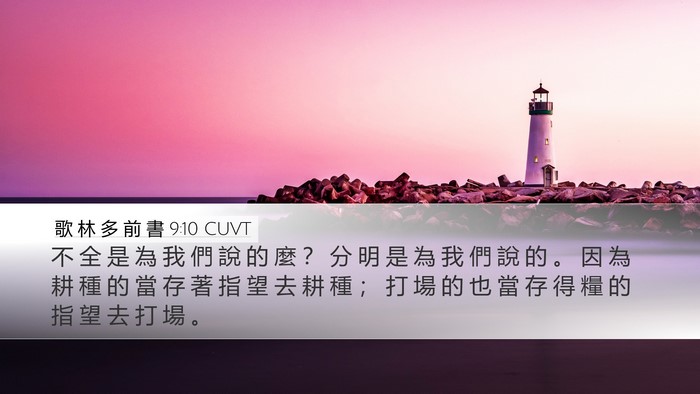 歌 林 多 前 書 9:10 CUVT Bible Verse Image