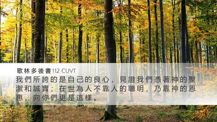 歌 林 多 後 書 1:12 CUVT Bible Verse Image
