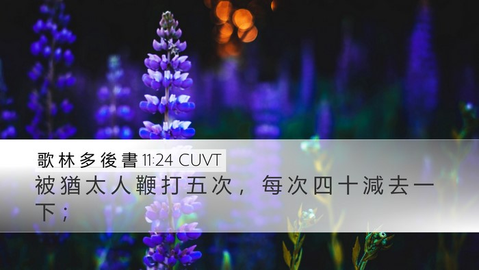 歌 林 多 後 書 11:24 CUVT Desktop Wallpaper - 被 猶 太 人 鞭 打 五 次 ， 每 次 四 - Desktop Bible Verse Wallpaper