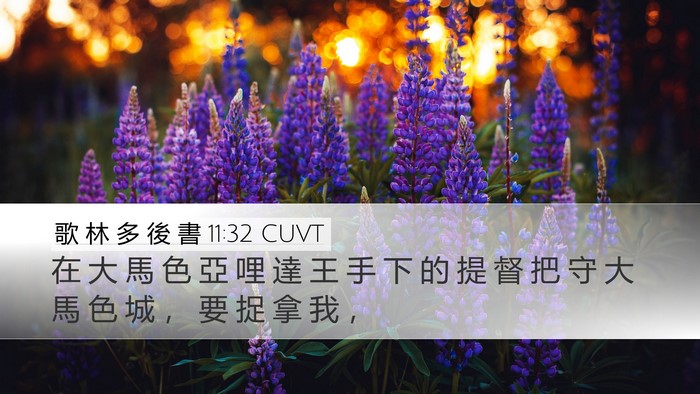 歌 林 多 後 書 11:32 CUVT Bible Verse Image