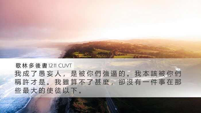 歌 林 多 後 書 12:11 CUVT Desktop Wallpaper - 我 成 了 愚 妄 人 ， 是 被 你 們 強 - Desktop Bible Verse Wallpaper