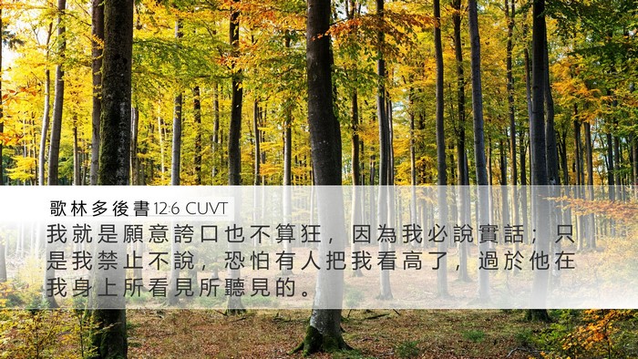 歌 林 多 後 書 12:6 CUVT Bible Verse Image