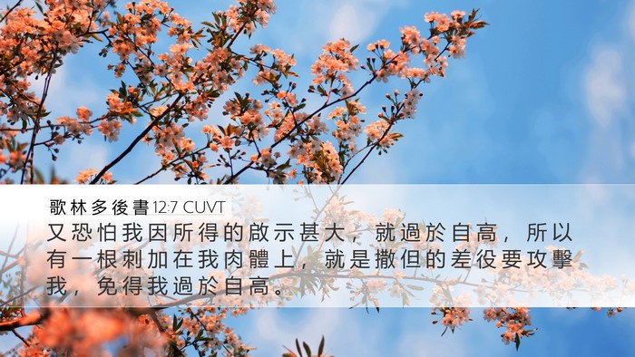 歌 林 多 後 書 12:7 CUVT Bible Verse Image