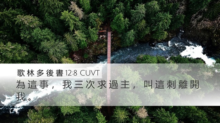 歌 林 多 後 書 12:8 CUVT Desktop Wallpaper - 為 這 事 ， 我 三 次 求 過 主 ， 叫 - Desktop Bible Verse Wallpaper