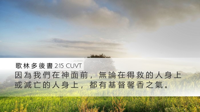 歌 林 多 後 書 2:15 CUVT Bible Verse Image