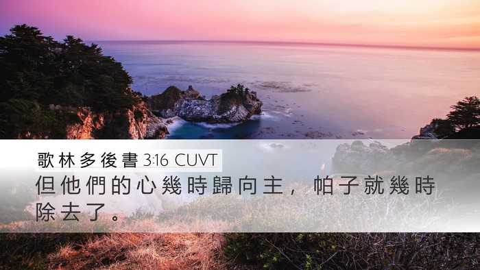 歌 林 多 後 書 3:16 CUVT Desktop Wallpaper - 但 他 們 的 心 幾 時 歸 向 主 ， 帕 - Desktop Bible Verse Wallpaper