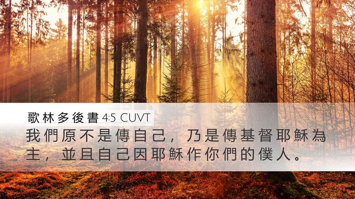歌 林 多 後 書 4:5 CUVT Bible Verse Image