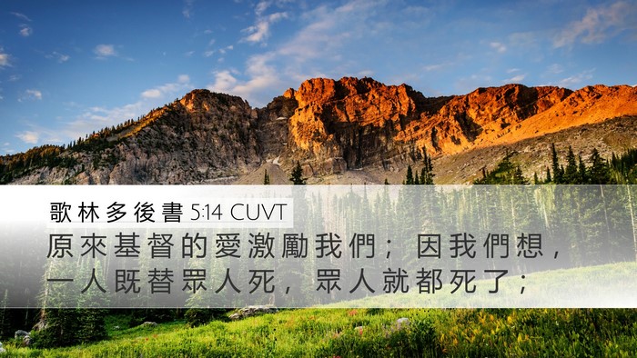 歌 林 多 後 書 5:14 CUVT Bible Verse Image