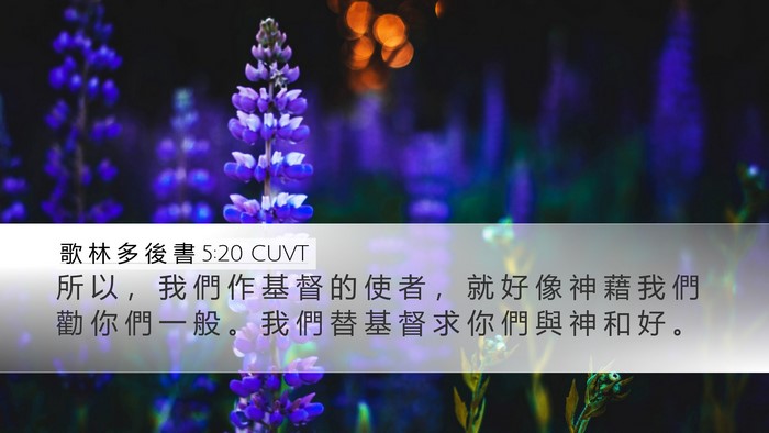 歌 林 多 後 書 5:20 CUVT Bible Verse Image