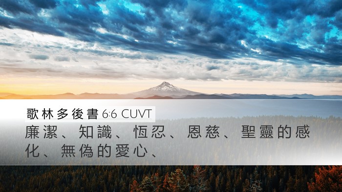 歌 林 多 後 書 6:6 CUVT Bible Verse Image