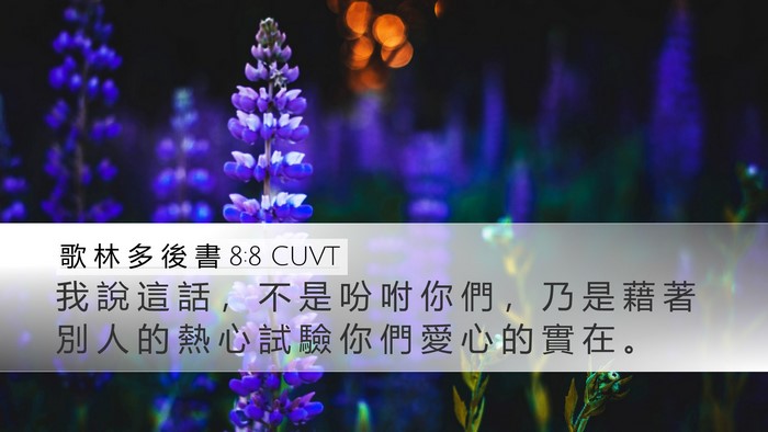 歌 林 多 後 書 8:8 CUVT Bible Verse Image