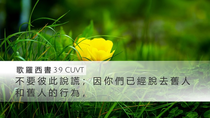歌 羅 西 書 3:9 CUVT Bible Verse Image