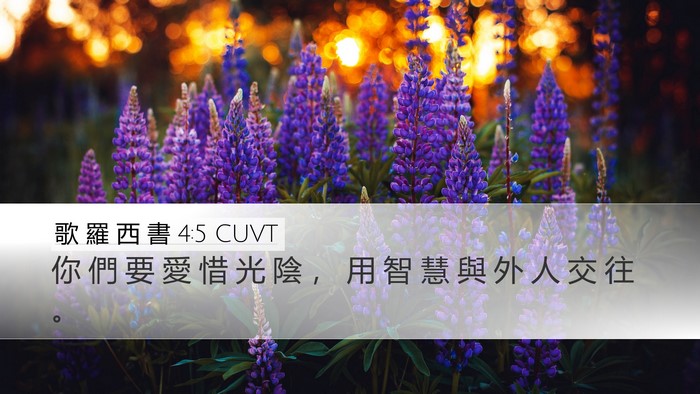 歌 羅 西 書 4:5 CUVT Bible Verse Image