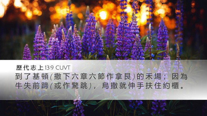 歷 代 志 上 13:9 CUVT Bible Verse Image