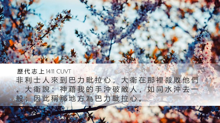 歷 代 志 上 14:11 CUVT Bible Verse Image
