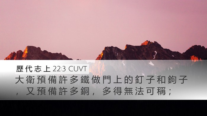 歷 代 志 上 22:3 CUVT Bible Verse Image
