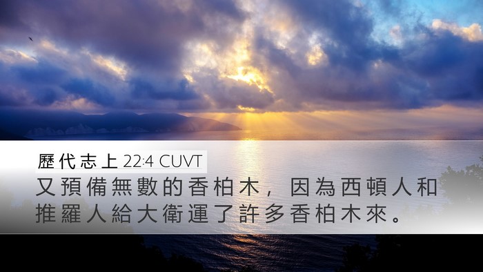 歷 代 志 上 22:4 CUVT Bible Verse Image
