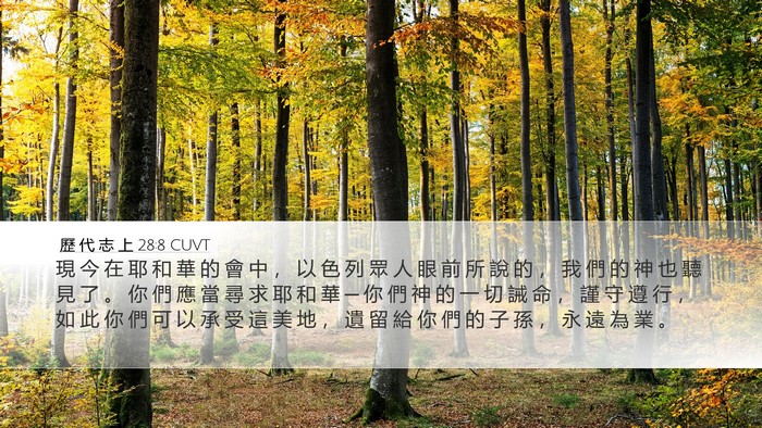 歷 代 志 上 28:8 CUVT Bible Verse Image
