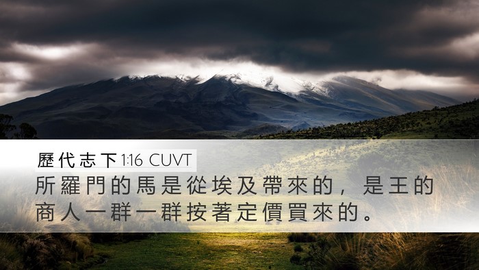 歷 代 志 下 1:16 CUVT Desktop Wallpaper - 所 羅 門 的 馬 是 從 埃 及 帶 來 的 - Desktop Bible Verse Wallpaper